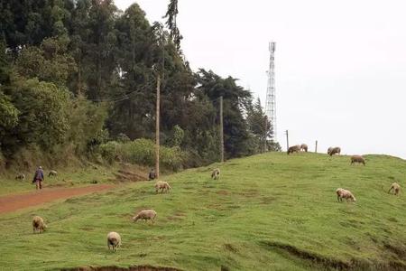  - ǴѹȣGreat Rift Valley